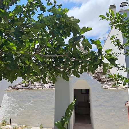 River Trulli Oasi Di Pace In Sito Unesco 阿尔贝罗贝洛 外观 照片