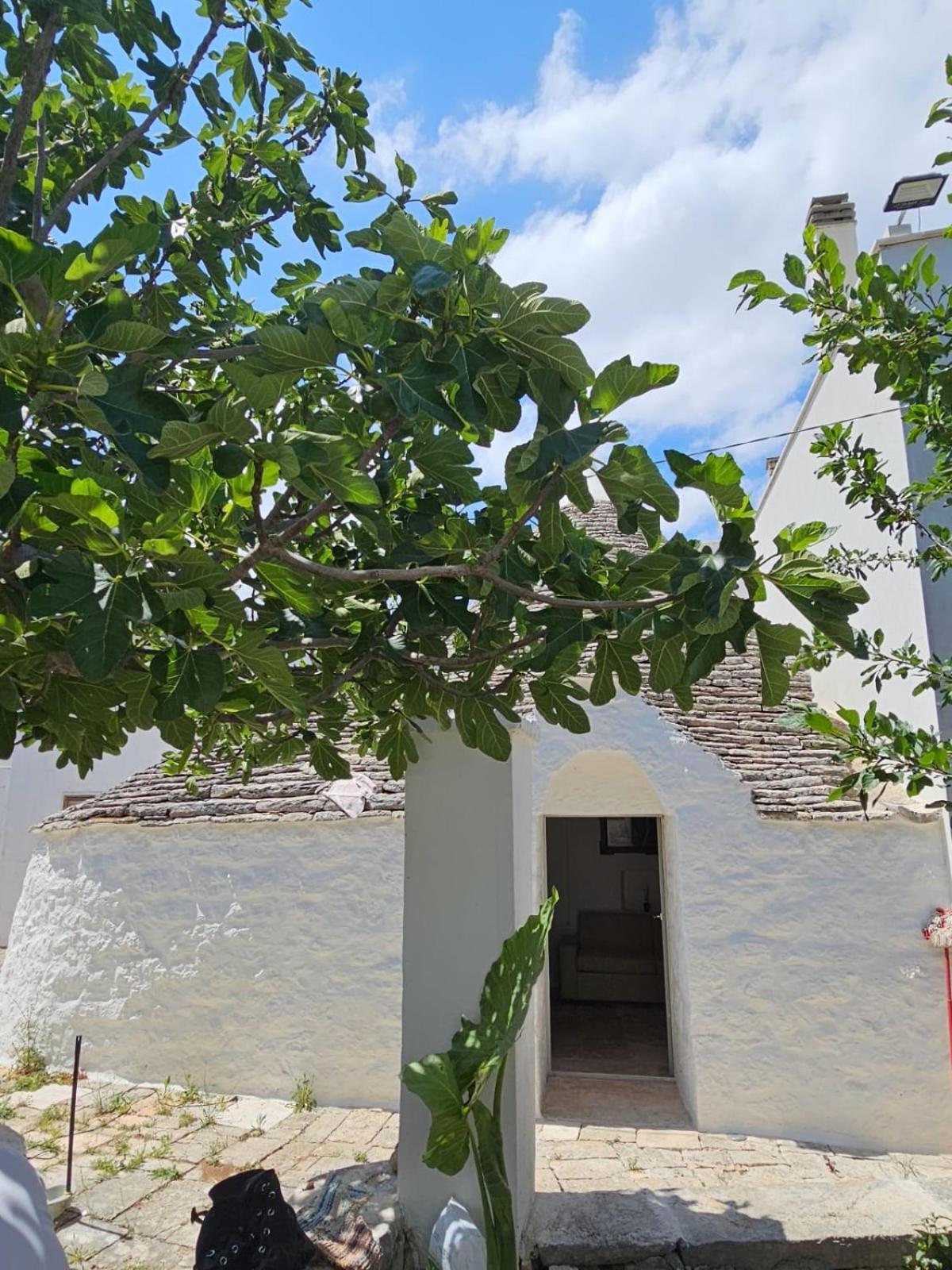 River Trulli Oasi Di Pace In Sito Unesco 阿尔贝罗贝洛 外观 照片