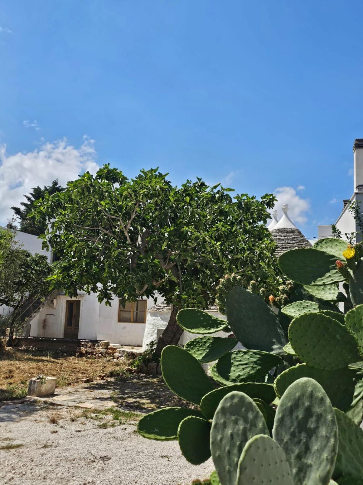 River Trulli Oasi Di Pace In Sito Unesco 阿尔贝罗贝洛 外观 照片