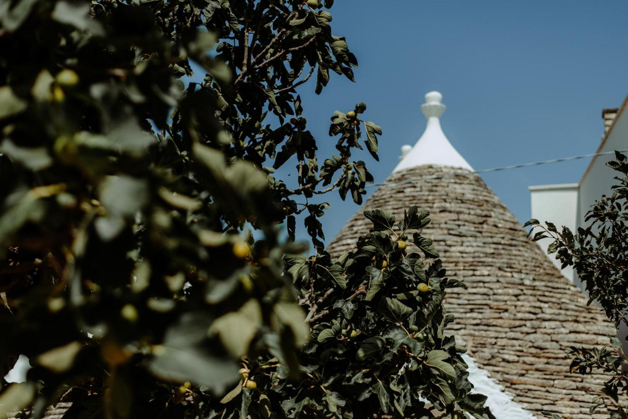 River Trulli Oasi Di Pace In Sito Unesco 阿尔贝罗贝洛 外观 照片